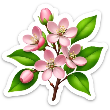 bouquet light pink Apple blossom, luxuriant, stem, leaf, bud sticker