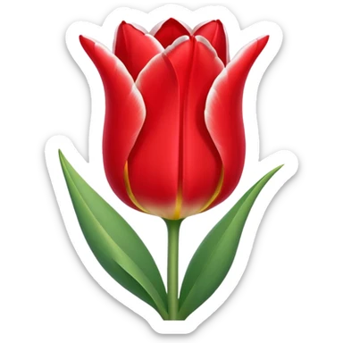 tulipa com bordas brancas sticker