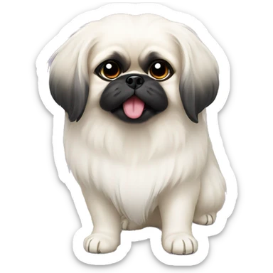 White Pekingese with a black ear sticker