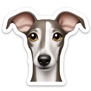 smiling italian greyhound sticker
