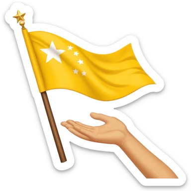 Chinar flag it has 80,000 stars and a hand sticker