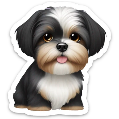 Shih tzu black puppy, yorkie coloring with light colored eyebrows. Round face, short ears  sticker