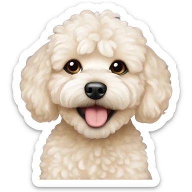 Happy new year mood beige maltipoo sticker