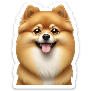 Pomerian  sticker