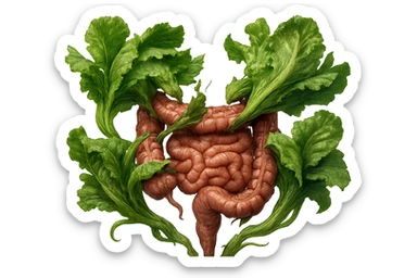 foglie di insalata che attaccano un intestino anatomico umano per distruggerlo, iperrealistico sticker