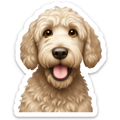 Labradoodle  sticker