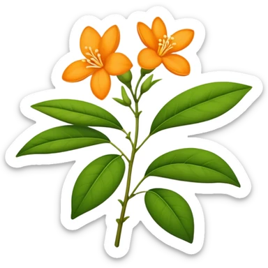 single Orange Jasmine, straight stem sticker