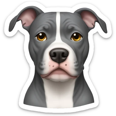 Grey pitbull with a white stripe down the middle of the face sticker