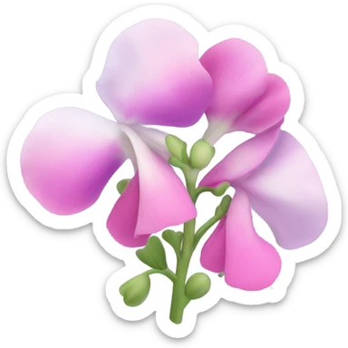 Sweet pea sticker