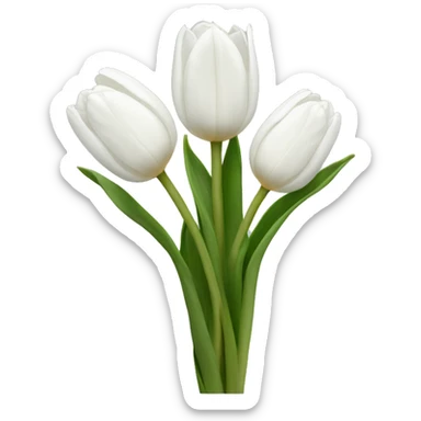 White tulips sticker