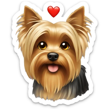 Yorkshire terrier with heart sticker