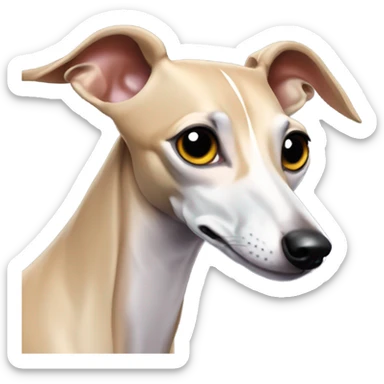 Italian Greyhound  sticker