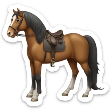 chevale sur cailloux sticker