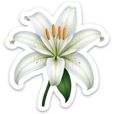 elegant white lily flower with six petals sticker