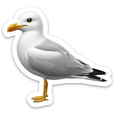 Seagulls  sticker