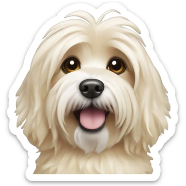 Cream colored Havanese in a fish costume  sticker