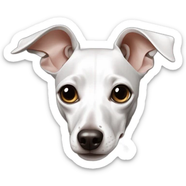 Twin white italian greyhound  sticker