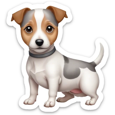 Jack russel terrier with gray markings sticker