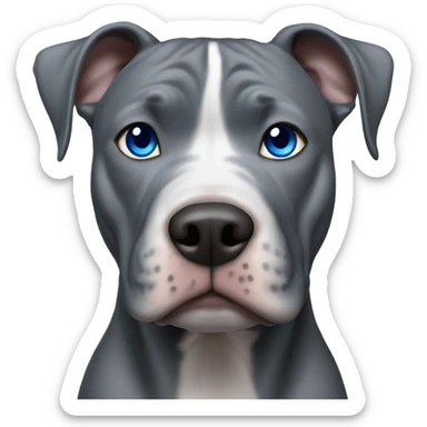 All grey pitbull (no white) with blue eyes  sticker