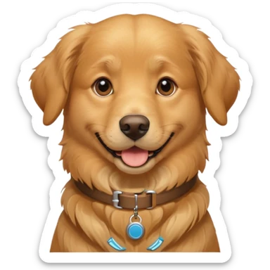 Dog's Identity & Tracking sticker