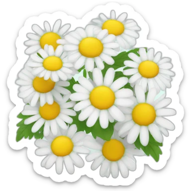 Camomile sticker