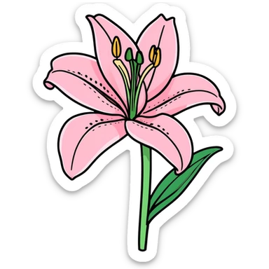 pink lily flower, cartoonish sticker style sticker