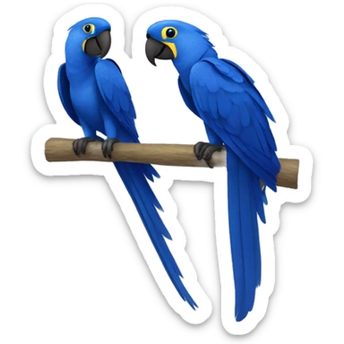 Hyacinth Macaw pair Full Body sticker