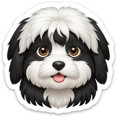 cute and bold havanese female dog black and white sticker