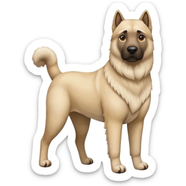 Mondial SFC süren kangal sticker