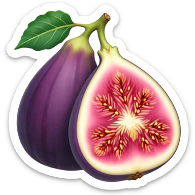 fig sticker
