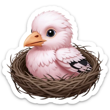 albino baby crow in nest sticker