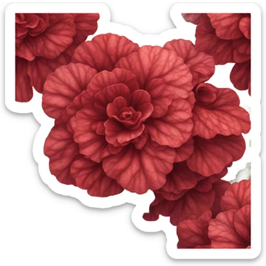 A crimson bouquet of begonias with a velvet ribbon and a feather quill
 sticker
