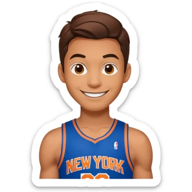 Spiderman new york knicks sticker