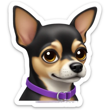 Chihuahua with purple collar sticker