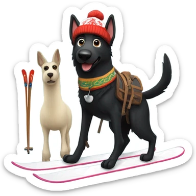 Black German shepherd on skis with a Norwegian hat on holding a llama sticker