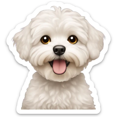 maltipoo sticker