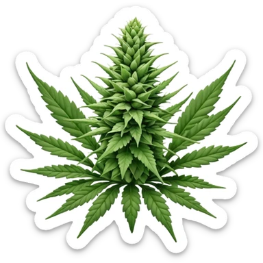 white color marijuana, no color sticker
