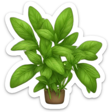 herbs sticker