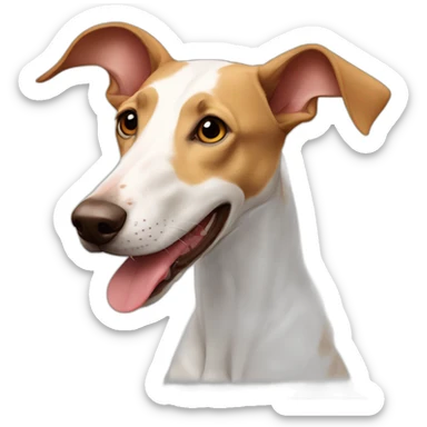 White Portuguese podenco dog sticker