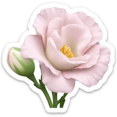 Beautiful light pink flower Eustoma sticker