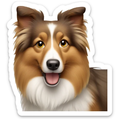Shetland sheepdog sticker