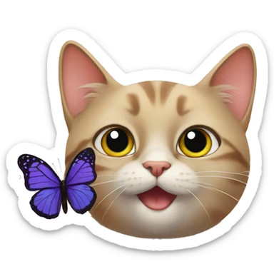 cat plays with butterfly sticker