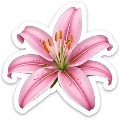 lily flower pink sticker