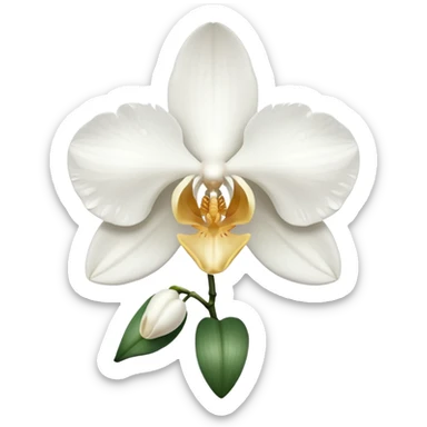 orchid sticker
