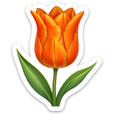 orange tulip sticker