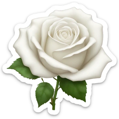 White rose sticker