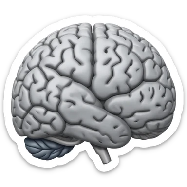 a brain memorising sticker