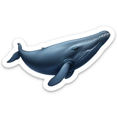 humpback whale sticker
