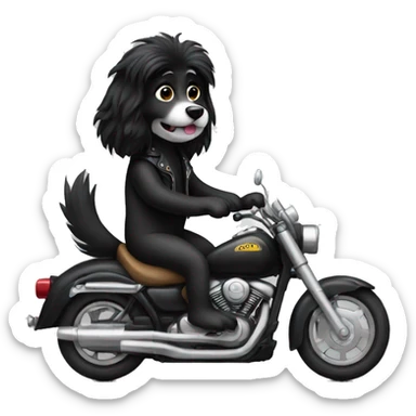 Black long haired dog riding a motorcycle  sticker