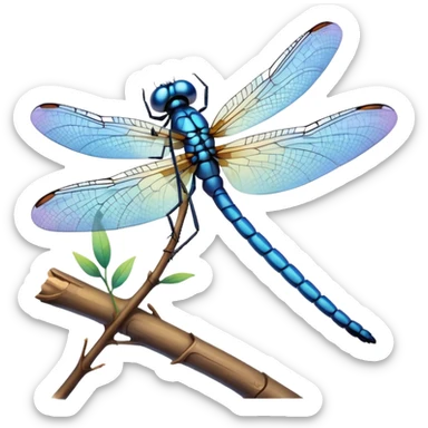 blue dragonfly sticker